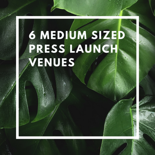 6 medium sized press launch venues