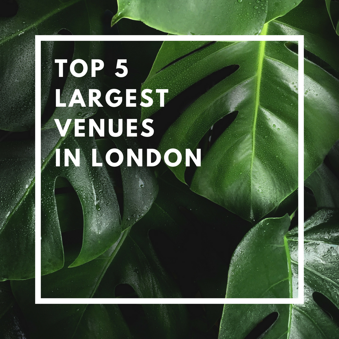 top-5-largest-venues-in-london-london-venue-hire